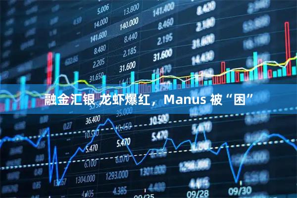 融金汇银 龙虾爆红，Manus 被“困”